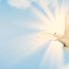 Holy Spirit: The Giver, the Gifts, and the Fruit